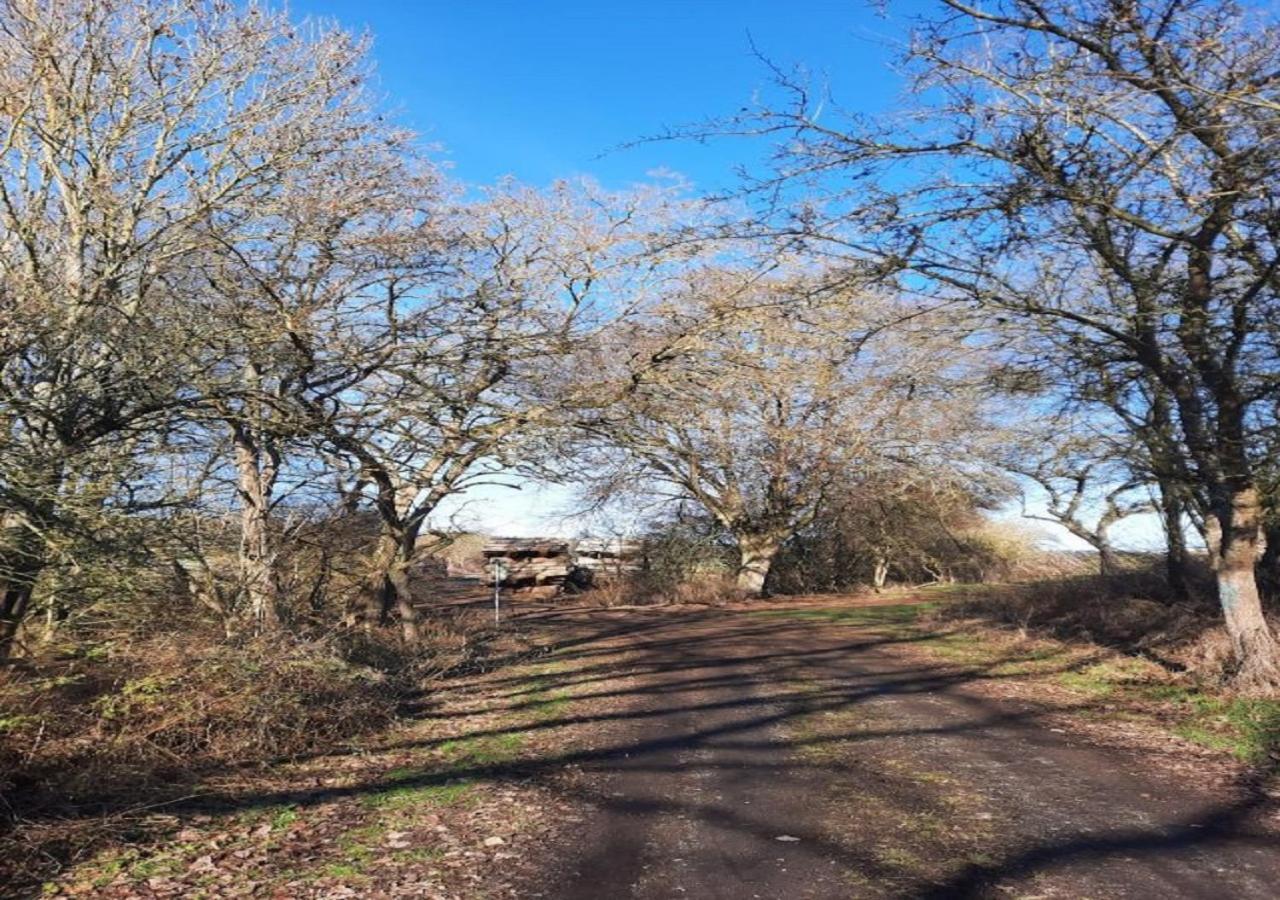 Exklusive Naturoase Direkt Am Ars Natura Wanderweg Mit Panoramablick Auf Melsungen Exteriör bild